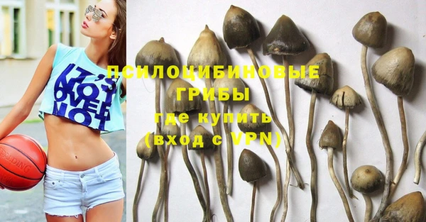 МДПВ Алексеевка