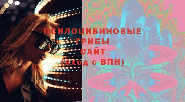 МДПВ Алексеевка